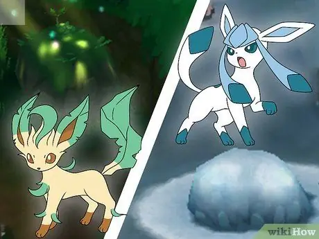 Evolvi Eevee in tutte le sue evoluzioni Passaggio 12