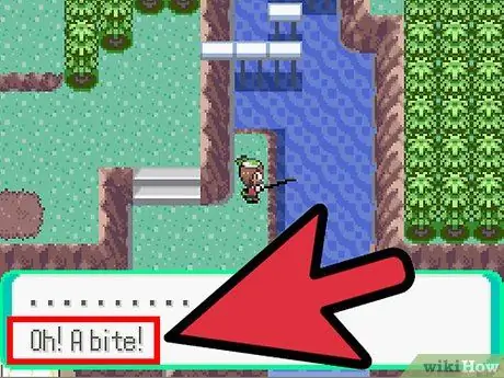 Fisch in Pokemon Emerald Schritt 4