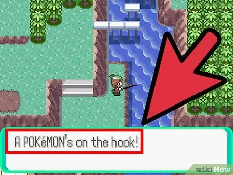 Vissen in Pokemon Emerald Stap 5