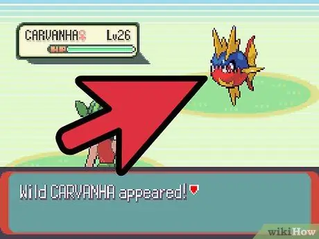 Fish in Pokemon Emerald Step 6