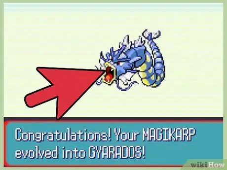 Evolve Magikarp Step 1