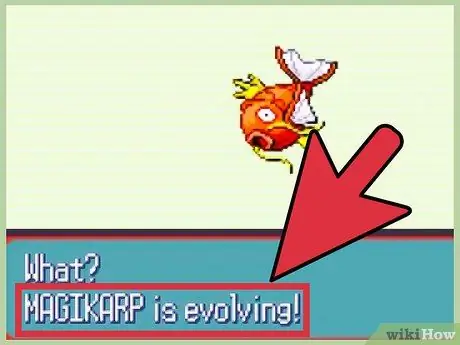 Evolucionar Magikarp Paso 6