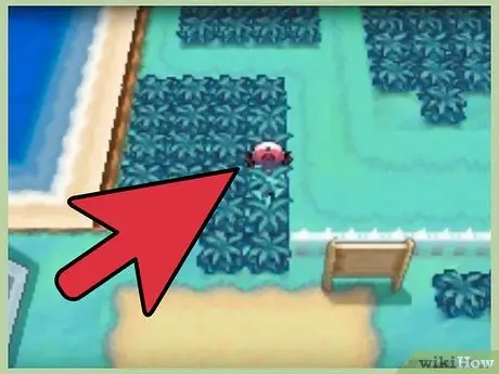 Vind de Move-waterval in Pokemon Black Stap 4