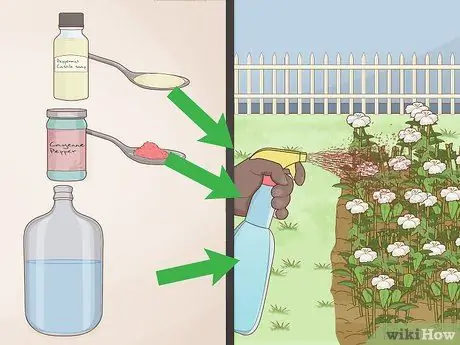 Helfen Sie mit, die biologische Vielfalt zu schützen Schritt 10