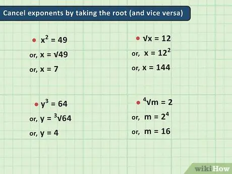 Lær Algebra Trinn 11