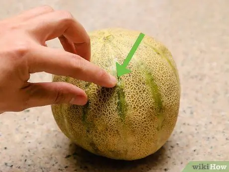 Ripen a Cantaloupe Step 10