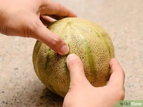 Ripen Cantaloupe Kauj Ruam 11