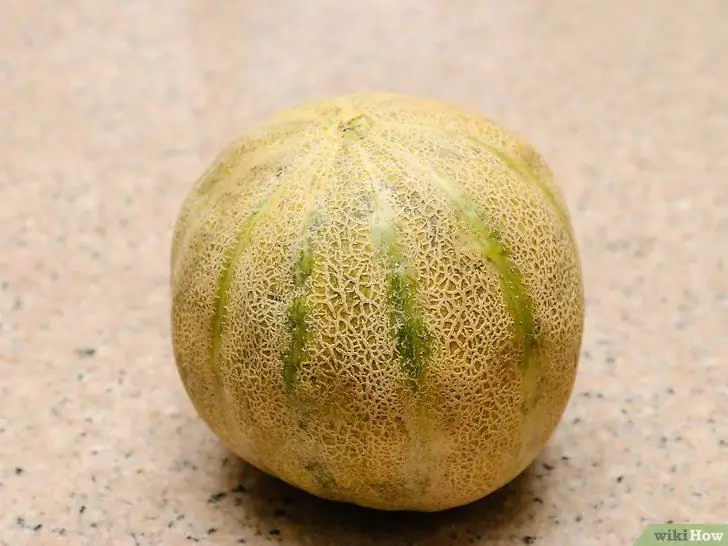 Ripen a Cantaloupe Final