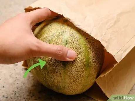 Maturare un melone Passaggio 5