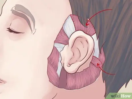 Wiggle Your Ears Step 4