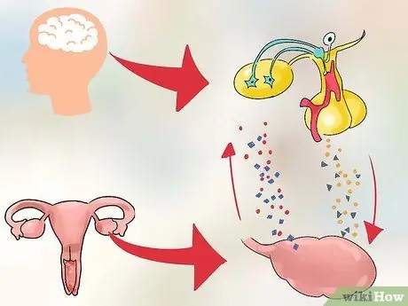 Odredite prvi dan menstrualnog ciklusa Korak 11