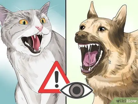 Know if a Pet Bite Is Serious Step 12