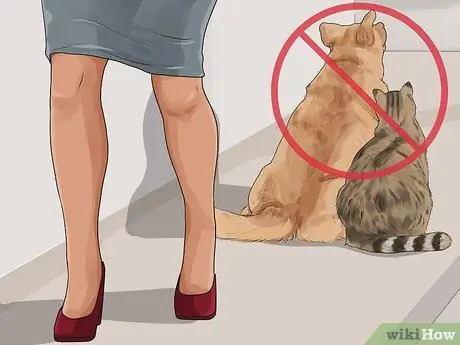 Know if a Pet Bite Is Serious Step 13