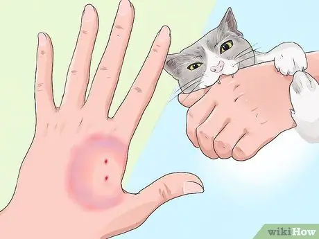 Know if a Pet Bite Is Serious Step 8