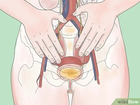 Detect Blood in Urine Step 9