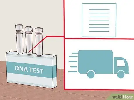 Sau DNA Kauj Ruam 7