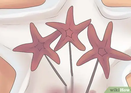 Conservar una estrella de mar para decorar Paso 11