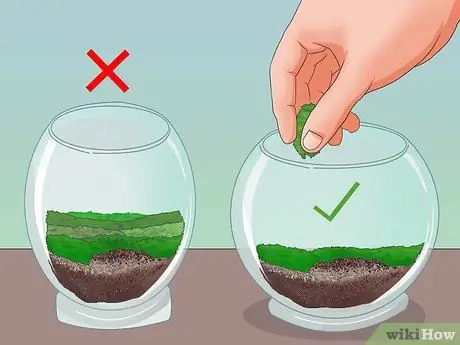 Gumawa ng Moss Terrariums Hakbang 11