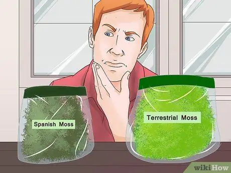 Gör Moss Terrarium Steg 4