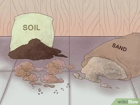 Gumawa ng Moss Terrariums Hakbang 8