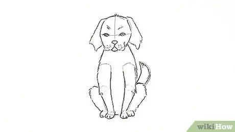 Draw a Puppy Step 14