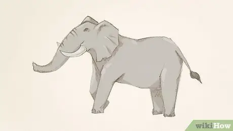 Draw an Elephant Step 18