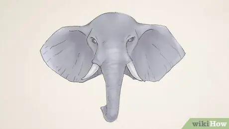 Dessiner un éléphant Étape 24