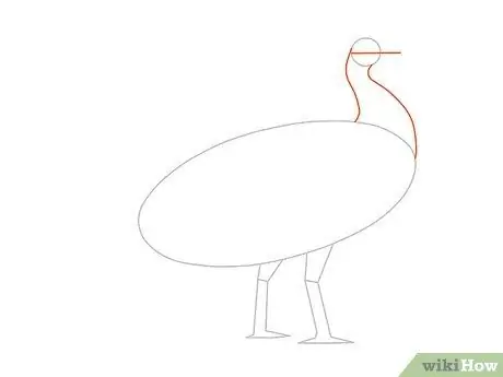 Draw an Exotic Peacock Step 12