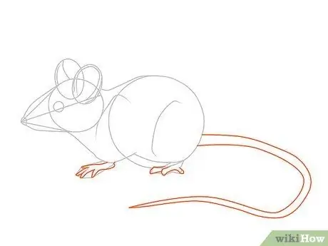 Draw a Mouse Step 13