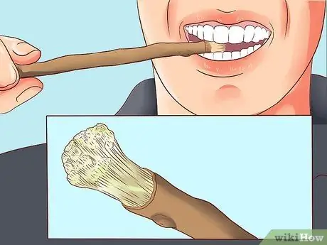 Use Miswak Etapa 2