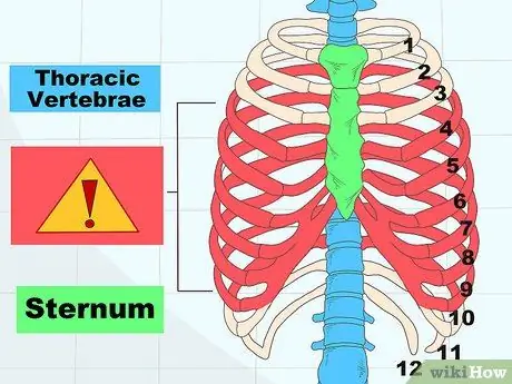 Assess a Rib Fracture Step 1