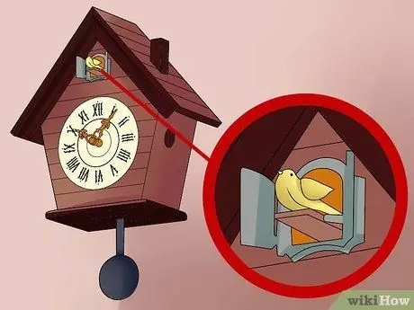 Teem Cuckoo Clock Kauj Ruam 2