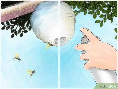 Kill Yellow Jackets Step 14