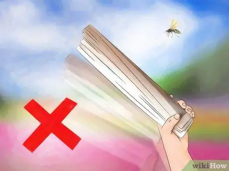 Kill Yellow Jackets Step 5