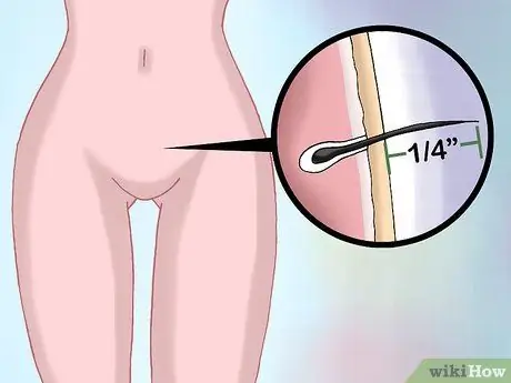 Wax Your Bikini Area at Home Step 1