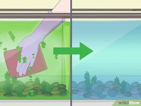 Clean a Fish Tank Step 2