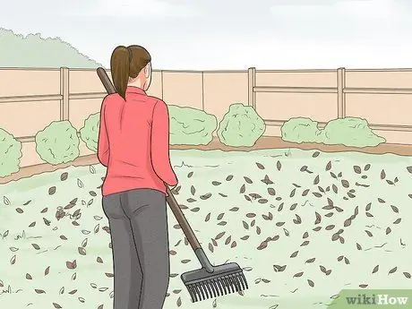 Keep Hornets Away Step 13