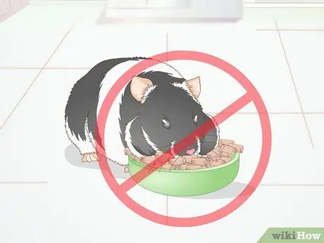 Keep Your Hamster Comfortable When It is Sick or Dying Step 10