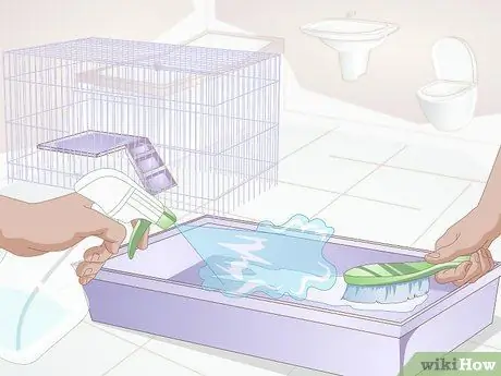 Keep Your Hamster Comfortable When It is Sick or Dying Step 2