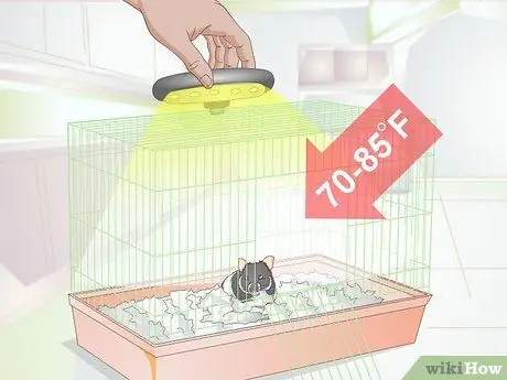 Keep Your Hamster Comfortable When It is Sick or Dying Step 3