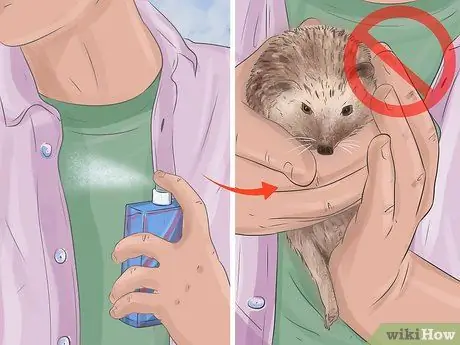 Tame a Hedgehog Step 4