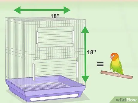 House Lovebirds Krok 1