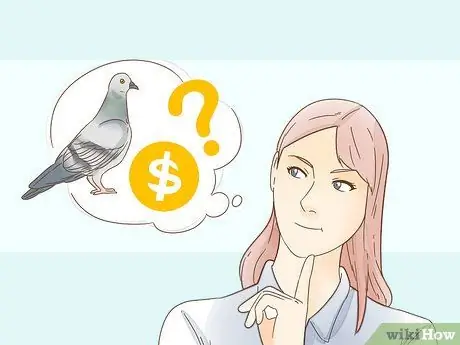 Sanayin ang isang Homing Pigeon Hakbang 1