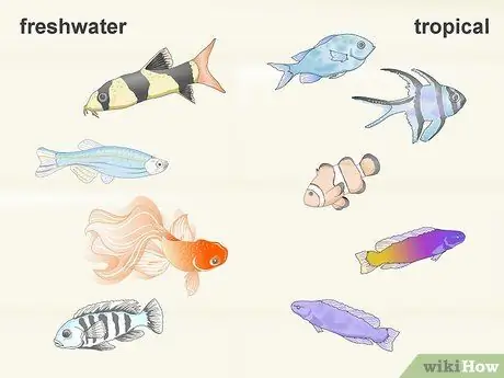 Jihadharini na Samaki wako Hatua ya 1