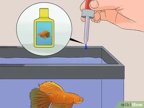 Save a Dying Betta Fish Βήμα 32