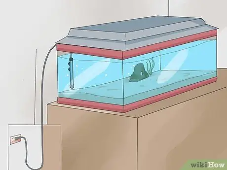 Set up a Tropical Freshwater Aquarium Step 12