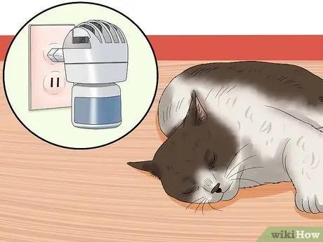 Care for an FIV Infected Cat Step 11