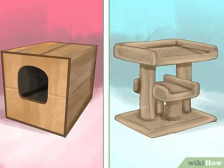 Retrain a Cat to Use the Litter Box Step 11