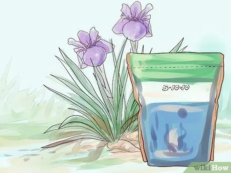 Grow Iris Βήμα 14