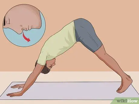 Perform Downward Facing Dog in Yoga Step 8